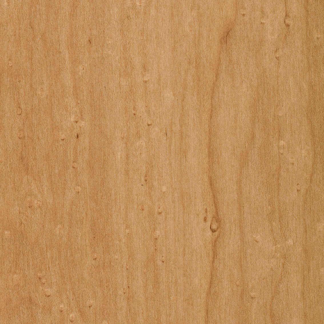 Panel Birdseye Maple - Brut d'Ober